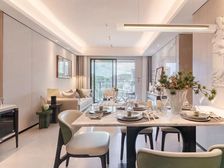 一手新房 半山别墅 大花园 小高层 上下4层 私家车库