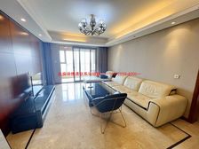 3.「221㎡湖西湖景大宅·万科地产金鸡湖核心资产压轴登场」