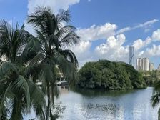 纯水岸临湖别墅丨套内使用750平米丨250平米花园丨私家码头