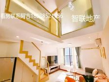 千灯湖CBD,业主可出售,旺租5000月 带全屋家私家电