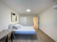 金杨新村四街坊 1室1厅1卫 精装修 230万元