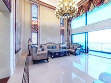 深圳湾顶楼中空大复试专梯入户私家大花园