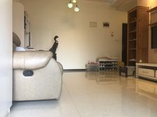 黄泥磅 祺山品阁一房