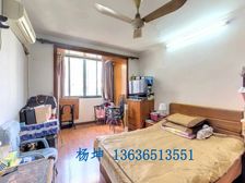 田林十三村2居48.71平南朝向视野开阔采光好