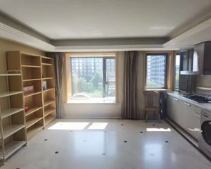 性价比高 金融街 北京尊府 东向 朝花园 一居室 出售!