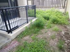 绿地朱家角1号 176平4居 南向毛坯