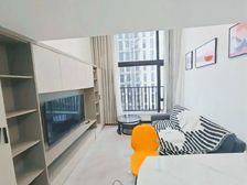 湖景12 边位3室 毛坯房 看湖景