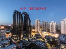 朝阳公园地标丨燕莎农展馆丨双线地铁上盖丨精装独栋带露苔有燃气