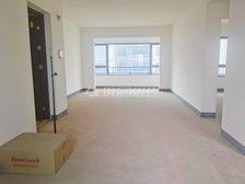 中央公园轻轨站旁边龙湖品质二梯二户配置