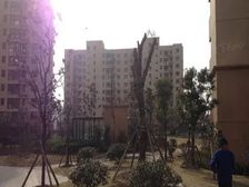 看房方便,户型方正,业主诚意出售