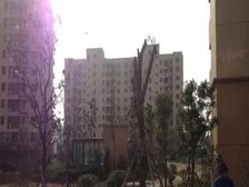 看房方便,户型方正,业主诚意出售