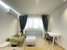 电梯已成 精致户型 装修很好 租金5500元 4条地铁出行