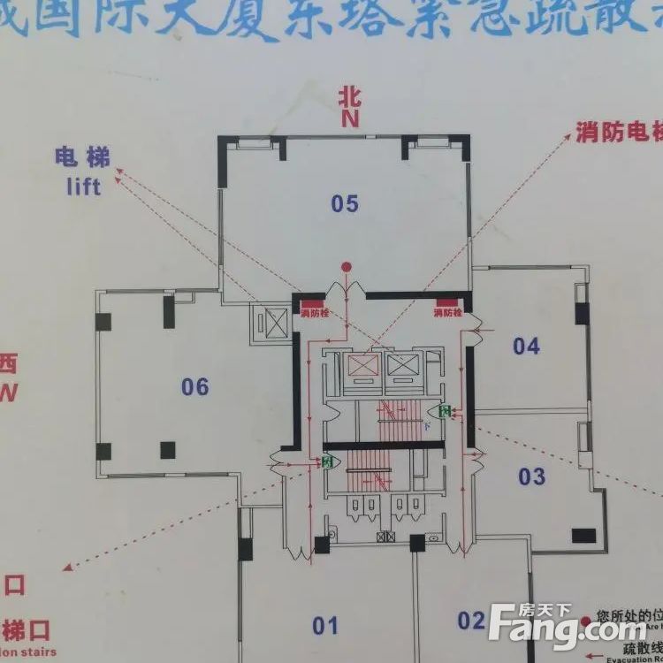 平面图