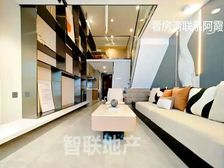 番禺厦滘地铁口 江景复式 天然气明火入户 市场少有 拎包入住