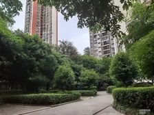 业主诚售 南桥寺中医院对面 轻轨站出口 63.16万