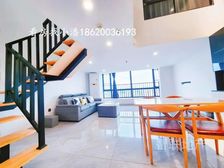 海珠琶洲 港澳台可买 旺租4000 商业配套成熟 可随时看房