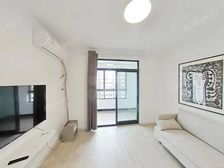 张江 申城佳苑三期 双南两房 电梯高层 视野好 随时看房