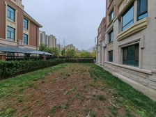 新出 中储洋房 带大 院 医疗配套成熟 出行方便 看房方便