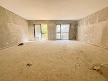 国博二期鸿玺 底复洋房 上下三层带院子 别墅级享受