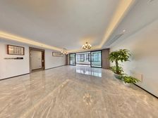 总高七层的洋房 中间位置 中间楼层 双套房设计 单入户