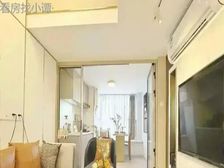 湖景阁送车位送储藏室送家具家电观景房