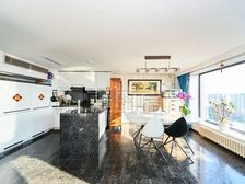 业主急售 挑高4.88米 双卫 12年次新 南北通透 红玺台