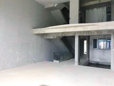 塘厦 银湖山庄五期 湖景别墅 已做好加建 超大花园