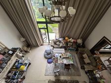 南临湖中间位置 挑高7米客厅 地上三层带露台!花园800平