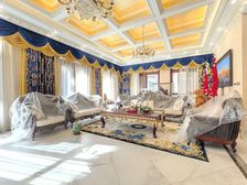 西边户联排别墅 客厅挑空 精装修 满五年唯一