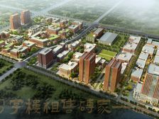 湖东精装独栋340平至2万平 国企自持 配套齐全车位充足无佣