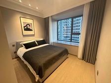 临平路无税普通住宅瑞虹新城瑧庭南北通透214.53平