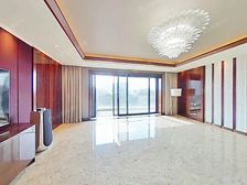 买进税费仅需支付契税,奢装大平层,提前约看