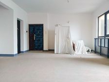 凡尔赛 幸福广场 大平层急卖 光电园 西大中附