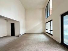 端户大花园 下叠内圈别墅 两条轻轨线西附 开间单层120