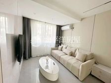 近地铁 中间楼层采光好 商业配套成熟 商品房 装修好