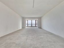 卓越天元 4室2厅 339.33平