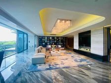 合景臻溋名铸 金融城南向望江顶豪 比肩汇悦台 一线江景 急售