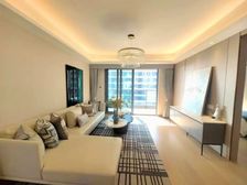 清盘 洋房 虎丘湿地公园旁 九龙仓逅湾 带装修现房