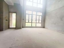 蔚蓝山(别墅) 端头边位置 4字头 地铁口与临深片区