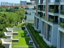 茶园销冠带花园带露台 现房洋房 66万起 露营基地温泉小镇