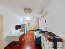 金桥!新上!清水苑小2室!低总价,非顶楼!近9号线,金桥公园