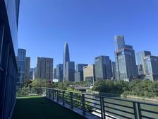 花园式独栋别墅出租!东部新城 620平一层 1700平整栋下