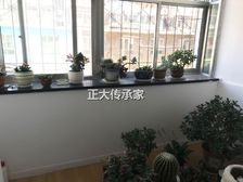 新海阳 西街 2楼 精装 拎包入住 80平42万