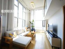 重点 敏捷物业 4千8 双商业广场 有产权