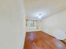 新上,带30平大花园,有钥匙随时看房,近九号线金桥副zx