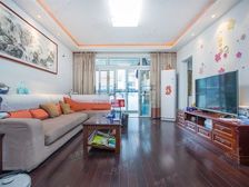 爱情公寓 稀缺大三房 朝南三房 厅南北通 电梯房 采光佳