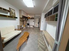 出门南翔印象城 商品房 电梯房 繁华地段 近地铁500