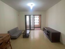 来电谈10个 临港自贸区 次年品质商品洋房 小区 户型随时看