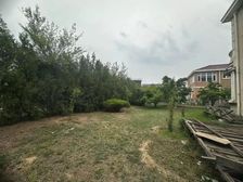 阳光专家:占地1000平 ,地上两层。