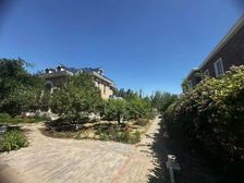 阳光专家:园区 占地1800平 ,精装修拎包住